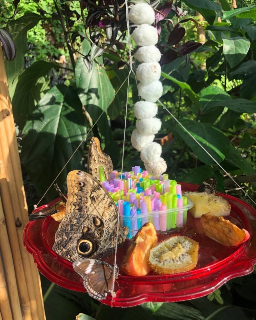 Uzm. Dr. Erol KILIÇ