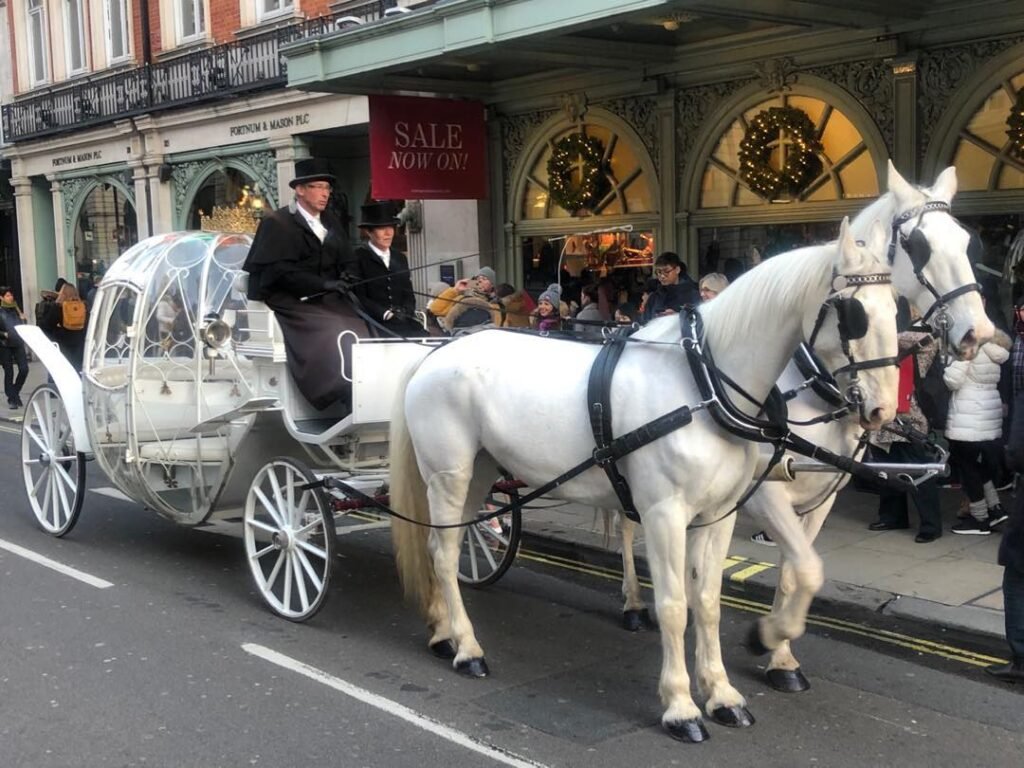 Uzm. Dr. Erol KILIÇ